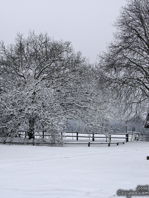 Mes plus belles photos de Dame Nature